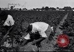 Image of Owens United States USA, 1921, second 11 stock footage video 65675028391