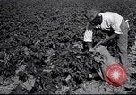 Image of Owens United States USA, 1921, second 17 stock footage video 65675028391