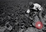 Image of Owens United States USA, 1921, second 18 stock footage video 65675028391