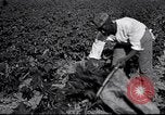 Image of Owens United States USA, 1921, second 20 stock footage video 65675028391