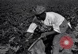 Image of Owens United States USA, 1921, second 22 stock footage video 65675028391
