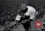 Image of Owens United States USA, 1921, second 23 stock footage video 65675028391