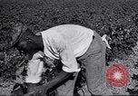 Image of Owens United States USA, 1921, second 24 stock footage video 65675028391