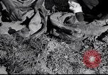 Image of Owens United States USA, 1921, second 28 stock footage video 65675028391