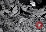 Image of Owens United States USA, 1921, second 29 stock footage video 65675028391