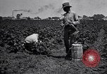 Image of Owens United States USA, 1921, second 43 stock footage video 65675028391
