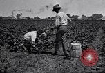 Image of Owens United States USA, 1921, second 44 stock footage video 65675028391