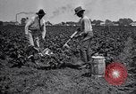 Image of Owens United States USA, 1921, second 45 stock footage video 65675028391