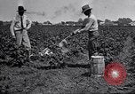 Image of Owens United States USA, 1921, second 46 stock footage video 65675028391