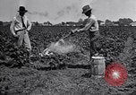 Image of Owens United States USA, 1921, second 47 stock footage video 65675028391