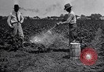 Image of Owens United States USA, 1921, second 48 stock footage video 65675028391