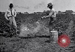 Image of Owens United States USA, 1921, second 49 stock footage video 65675028391