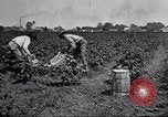 Image of Owens United States USA, 1921, second 50 stock footage video 65675028391