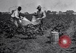 Image of Owens United States USA, 1921, second 51 stock footage video 65675028391
