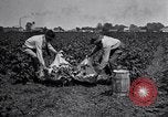 Image of Owens United States USA, 1921, second 52 stock footage video 65675028391
