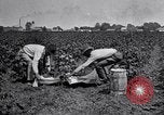 Image of Owens United States USA, 1921, second 53 stock footage video 65675028391