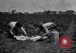 Image of Owens United States USA, 1921, second 54 stock footage video 65675028391
