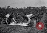 Image of Owens United States USA, 1921, second 55 stock footage video 65675028391
