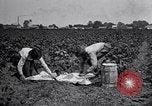 Image of Owens United States USA, 1921, second 56 stock footage video 65675028391