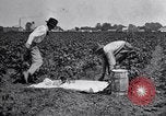 Image of Owens United States USA, 1921, second 57 stock footage video 65675028391