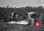 Image of Owens United States USA, 1921, second 58 stock footage video 65675028391