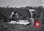 Image of Owens United States USA, 1921, second 59 stock footage video 65675028391