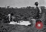 Image of Owens United States USA, 1921, second 60 stock footage video 65675028391