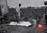 Image of Owens United States USA, 1921, second 61 stock footage video 65675028391