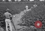 Image of Owens United States USA, 1921, second 8 stock footage video 65675028392