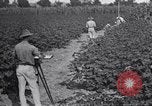Image of Owens United States USA, 1921, second 9 stock footage video 65675028392