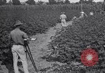 Image of Owens United States USA, 1921, second 10 stock footage video 65675028392