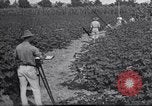 Image of Owens United States USA, 1921, second 11 stock footage video 65675028392