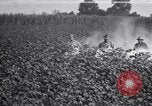 Image of Owens United States USA, 1921, second 21 stock footage video 65675028392