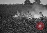 Image of Owens United States USA, 1921, second 22 stock footage video 65675028392