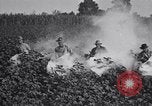 Image of Owens United States USA, 1921, second 24 stock footage video 65675028392