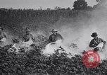 Image of Owens United States USA, 1921, second 26 stock footage video 65675028392