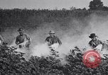 Image of Owens United States USA, 1921, second 27 stock footage video 65675028392