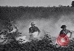 Image of Owens United States USA, 1921, second 28 stock footage video 65675028392