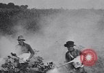 Image of Owens United States USA, 1921, second 31 stock footage video 65675028392
