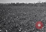 Standbild Owens United States USA, 1921, aus Sekunde 10 historischem Filmmaterial Videoclip 65675028393
