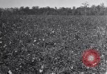Standbild Owens United States USA, 1921, aus Sekunde 11 historischem Filmmaterial Videoclip 65675028393