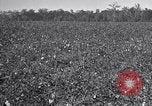 Standbild Owens United States USA, 1921, aus Sekunde 12 historischem Filmmaterial Videoclip 65675028393