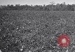 Standbild Owens United States USA, 1921, aus Sekunde 13 historischem Filmmaterial Videoclip 65675028393