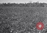 Standbild Owens United States USA, 1921, aus Sekunde 14 historischem Filmmaterial Videoclip 65675028393