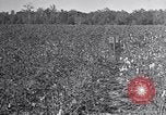 Standbild Owens United States USA, 1921, aus Sekunde 25 historischem Filmmaterial Videoclip 65675028393