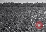 Standbild Owens United States USA, 1921, aus Sekunde 26 historischem Filmmaterial Videoclip 65675028393