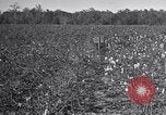 Standbild Owens United States USA, 1921, aus Sekunde 27 historischem Filmmaterial Videoclip 65675028393