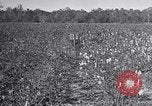 Standbild Owens United States USA, 1921, aus Sekunde 29 historischem Filmmaterial Videoclip 65675028393