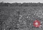 Standbild Owens United States USA, 1921, aus Sekunde 31 historischem Filmmaterial Videoclip 65675028393