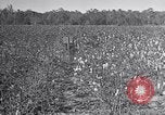 Standbild Owens United States USA, 1921, aus Sekunde 32 historischem Filmmaterial Videoclip 65675028393